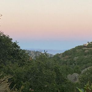 Meet your Posher, Eva